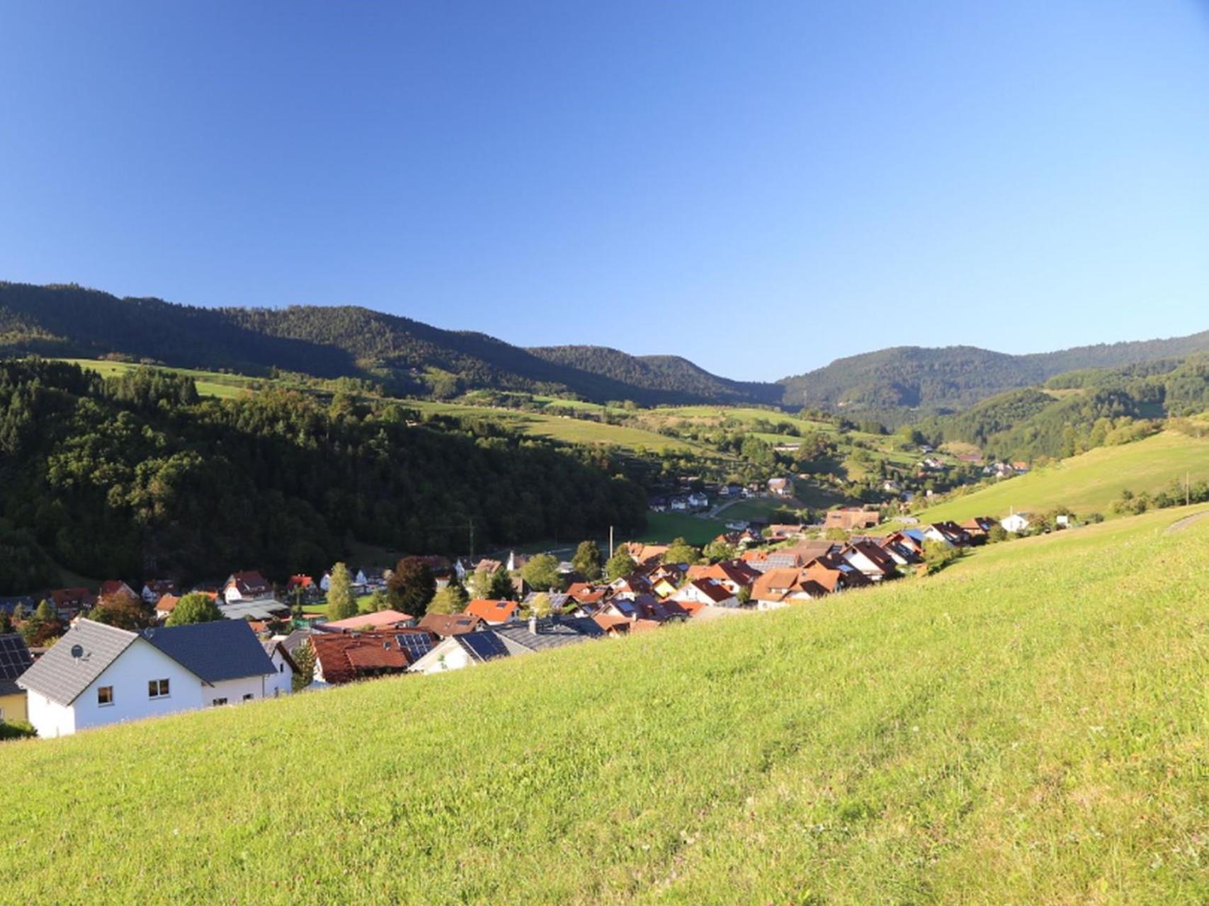 Appartement Schwarzwaldstueble Oberharmersbach Extérieur photo