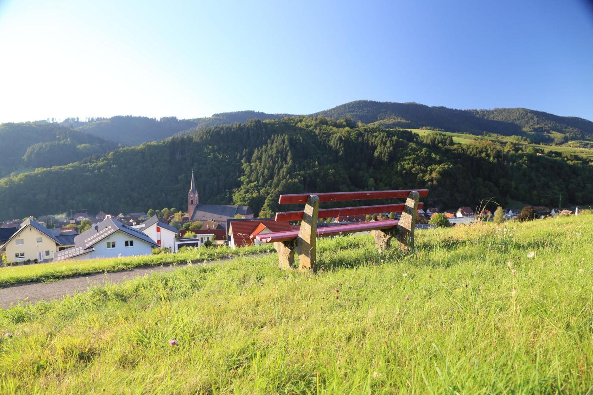 Appartement Schwarzwaldstueble Oberharmersbach Extérieur photo